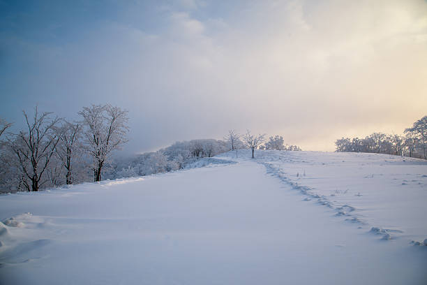 The rime scenery on the high mountains in winter