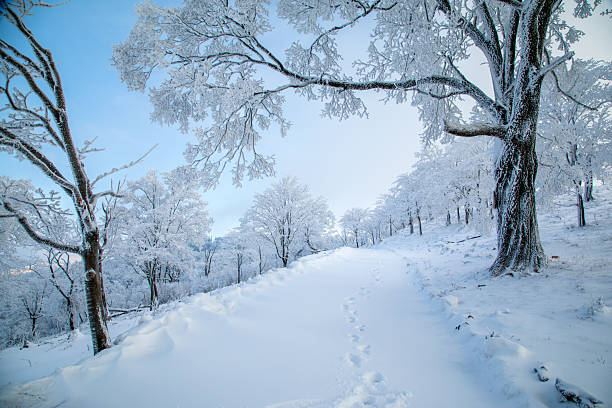 The rime scenery on the high mountains in winter