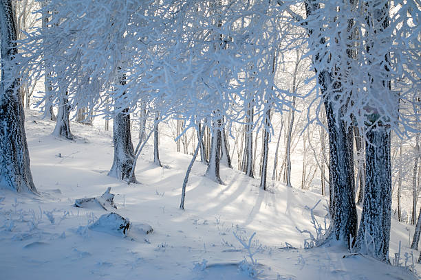 The rime scenery on the high mountains in winter