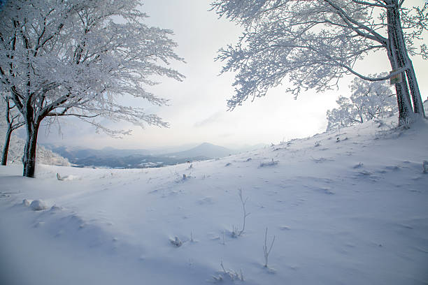 The rime scenery on the high mountains in winter