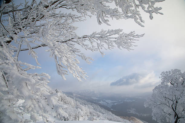 The rime scenery on the high mountains in winter