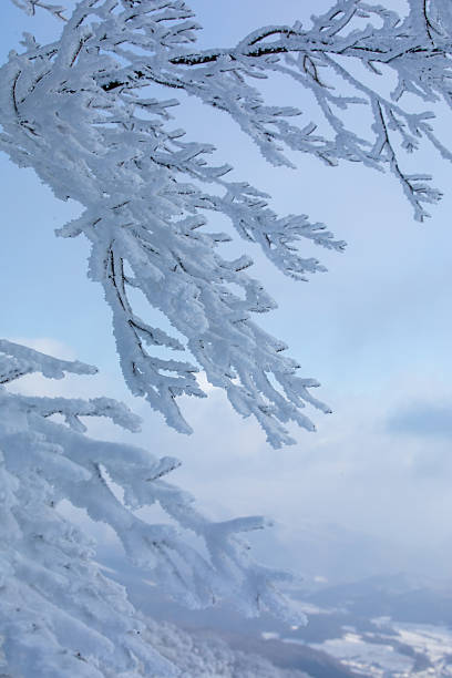 The rime scenery on the high mountains in winter