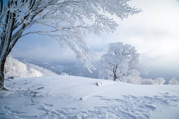 The rime scenery on the high mountains in winter