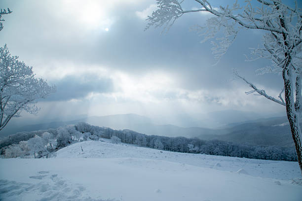 The rime scenery on the high mountains in winter
