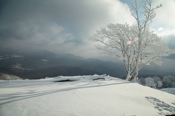 The rime scenery on the high mountains in winter