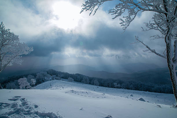 The rime scenery on the high mountains in winter