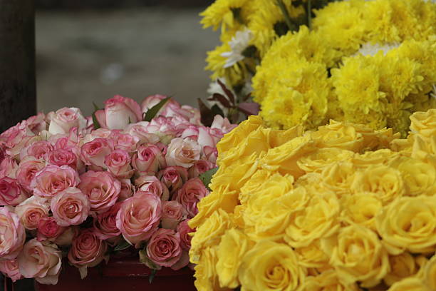 Yellow and pink roses piled up for sale
