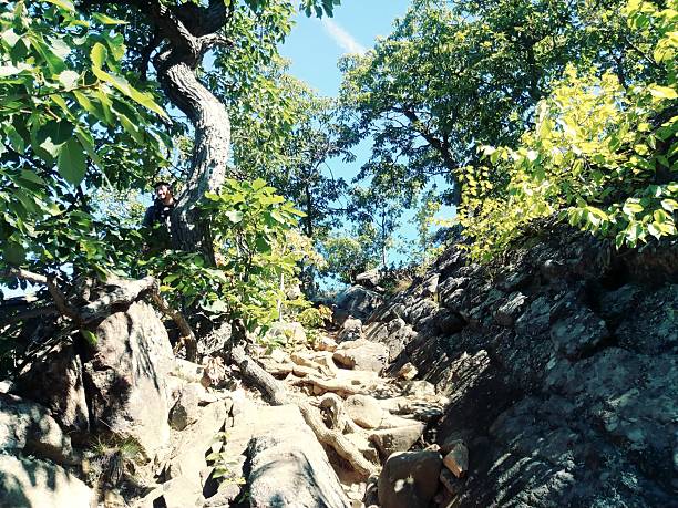 An uphill mountain trail through rocky terrain on a sunny fall day.