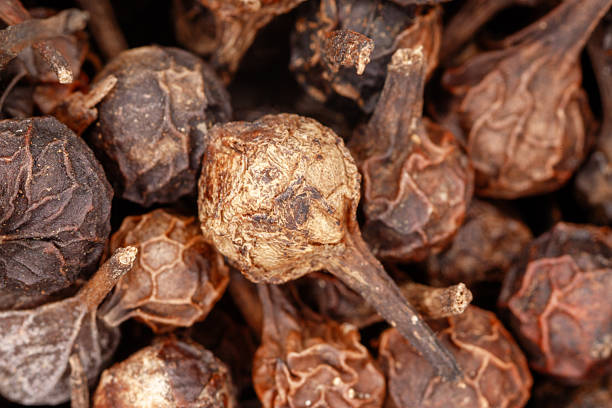 Close up view of whole dried cubeb pepper berries