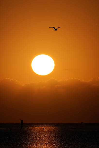 Sunrise on the Atlantic Ocean along the East Coast of the United States known as the Treasure Coast in St. Augustine, Florida.