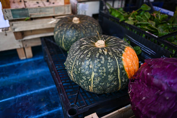 Fresh kabocha squash and purple cabbage in crates at a market