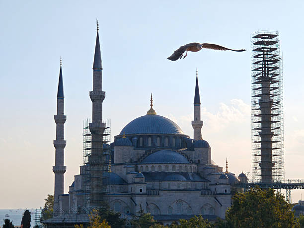 Seagull flying at The Sultan Ahmed Mosque, popularly known as the Blue Mosque, an Ottoman-era historical imperial mosque located in Istanbul, Turkey. It was constructed between 1609 and 1617 during the rule of Ahmed I.