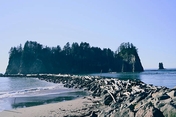 Forested sea stacks rise from the Pacific near La Push, Washington, along the rugged Olympic Coast. A rock and driftwood breakwater stretches into the water, framing this dramatic shoreline shaped by powerful surf and coastal storms. Located near the Quileute Tribal lands and Olympic National Park, La Push is known for its wild beaches, tide pools, and iconic offshore rock formations.