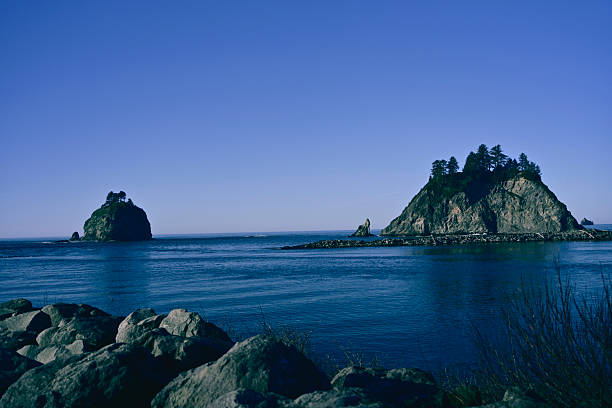 Forested sea stacks rise from the Pacific near La Push, Washington, along the rugged Olympic Coast. A rock and driftwood breakwater stretches into the water, framing this dramatic shoreline shaped by powerful surf and coastal storms. Located near the Quileute Tribal lands and Olympic National Park, La Push is known for its wild beaches, tide pools, and iconic offshore rock formations.