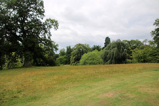 A view of the Cheshire Countryside at Cholmondeley on a sunny day