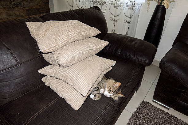 A cat is lying on a couch with several pillows stacked beside it. The pillows create a cozy space for the cat. Sunlight shines through the window.