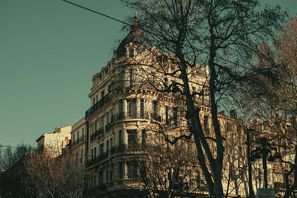 Elegant parisian architecture in winter afternoon light.