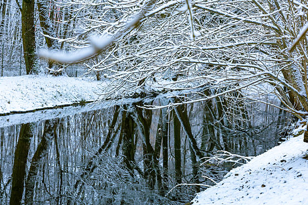 Winter landscape with snow covered trees reflected in calm river water. Cold seasonal nature scene with bare branches, frost, and mirror reflection creating symmetrical composition. Ideal for winter concepts, climate, cold weather, seasonal backgrounds, nature blogs, environmental design, and peaceful outdoor themes. Horizontal image with copy space.