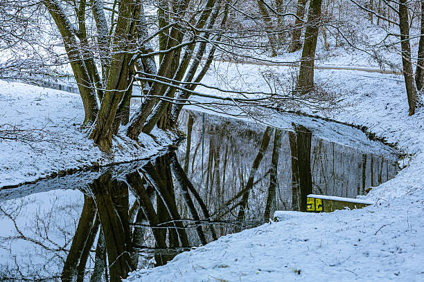 Peaceful winter forest landscape with snow covered trees reflected in still river water. Bare branches, frost, and mirror reflection create balanced and tranquil natural composition. Cold seasonal outdoor scene suitable for winter themes, nature backgrounds, climate and environment concepts, outdoor blogs, seasonal advertising, and calming visual storytelling. Horizontal image with copy space. No people.