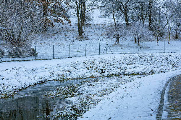 Peaceful winter forest landscape with a snowy path running alongside a calm river. Bare trees and frost covered ground create a quiet seasonal atmosphere. Outdoor winter scene without people, ideal for nature backgrounds, winter travel concepts, environmental content, and serene visual storytelling. Horizontal image with copy space.