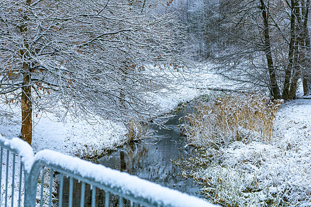 Quiet winter scene showing a narrow river flowing through a forest park with a snow covered bridge railing in the foreground. Bare trees and frosted plants enhance the cold seasonal mood. Outdoor winter landscape without people, ideal for park themes, winter backgrounds, environmental concepts, and calm natural visuals.
