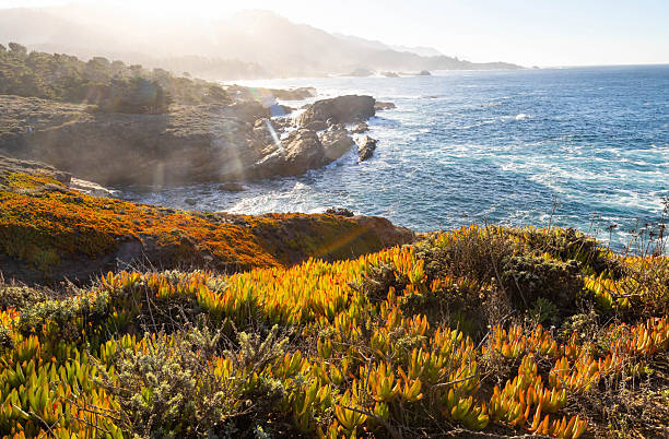 Beautiful sunrise view of Point Lobos coastline in California with ocean cliffs, golden light, and natural seaside landscape