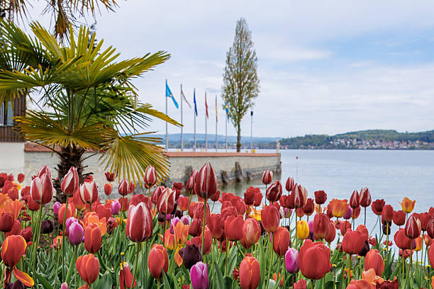 Passenger ship MS Überlingen enters the harbor in Meersburg - Lake Constance. The passengers enjoy the beautiful landscape.