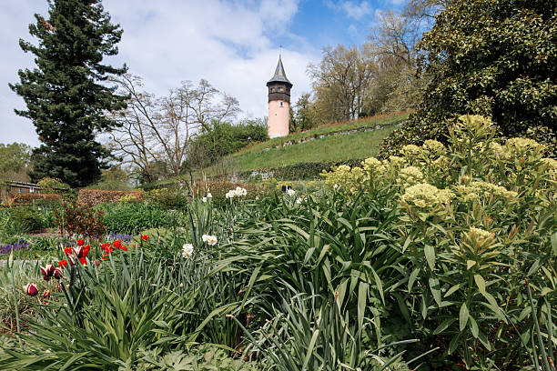 Colorful spring beds and historic tower on Mainau Island, Germany, overlooking Lake Constance.