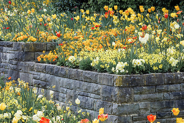 Colorful tulips, daffodils and primroses in layered beds on Mainau Flower Island, Lake Constance, Germany. Spring garden landscape.