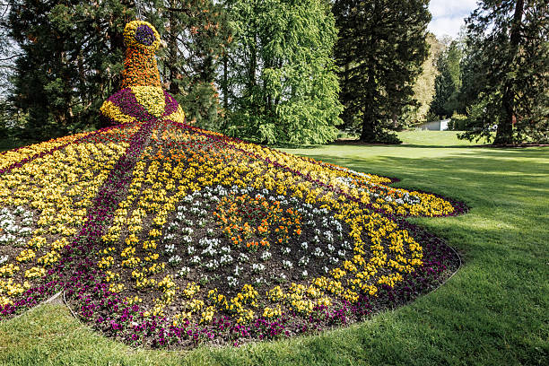 Mainau Island, Germany - April 26 2024: Large floral sculpture in landscaped garden at Flower Island Mainau on Lake Constance.