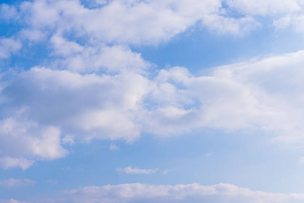 I took this photo of the clear sky on a cold, sunny winter day.