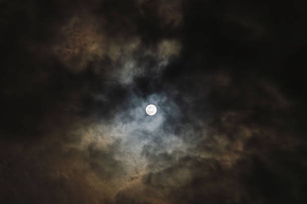I took this photo because the contrast between the full moon and the clouds in the winter night sky is beautiful.