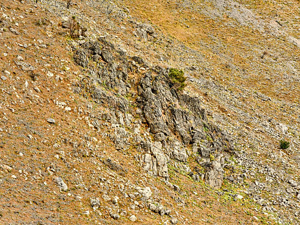 Crete, Greece shines in this rugged hillside scene featuring rocky outcrops, dry earth tones, and a lone scrubby tree clinging to a steep slope. Ideal for nature, travel, geology and landscape projects seeking a Mediterranean, arid terrain vibe.