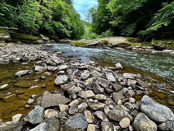 View from the rocks on a riverbank in the Appalachian Mountains.
