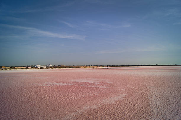 View of the salt marshes of Aigues-Mortes in the south of France