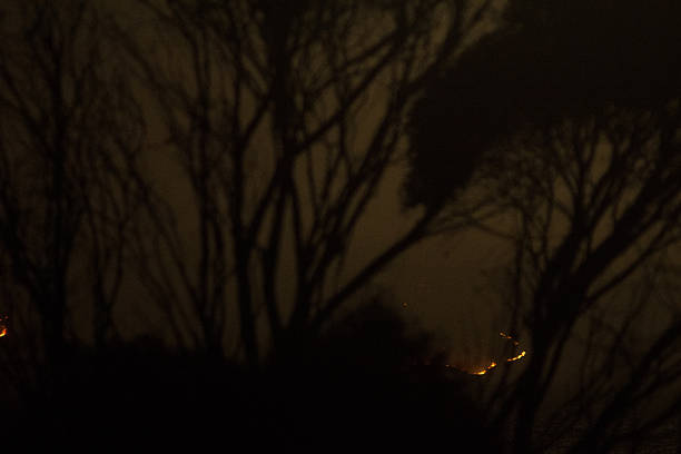 Controlled burn of harvested wheat fields in Central Victoria