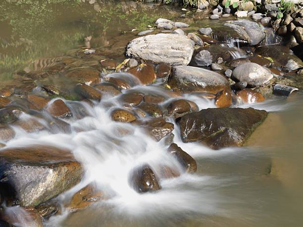 Clear stream flowing over smooth river rocks in a natural setting