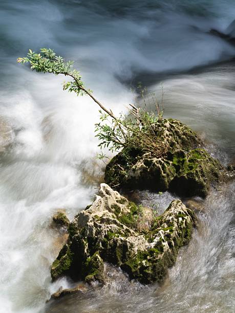 Long exposure of mountain stream flowing through mossy rocks