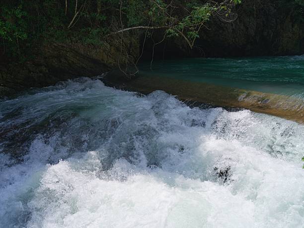 Rapid flowing river with white water cascading over rocks in a forested area