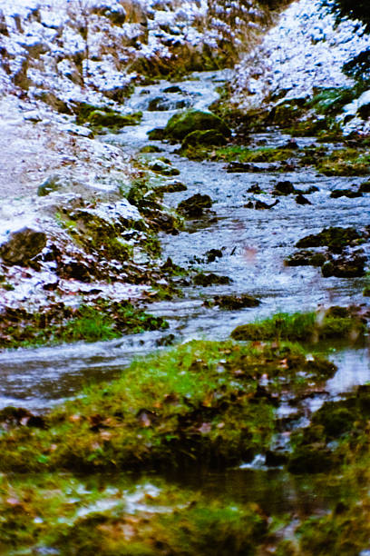 Winter scene of a a stream path with boulders covered in moss.