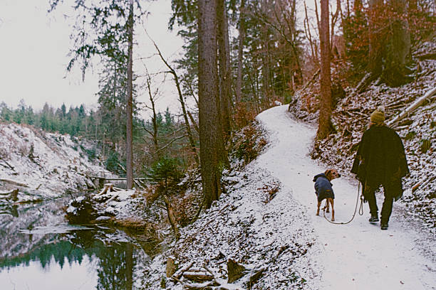 Film Photography capturing a nice winter walk with a dog.