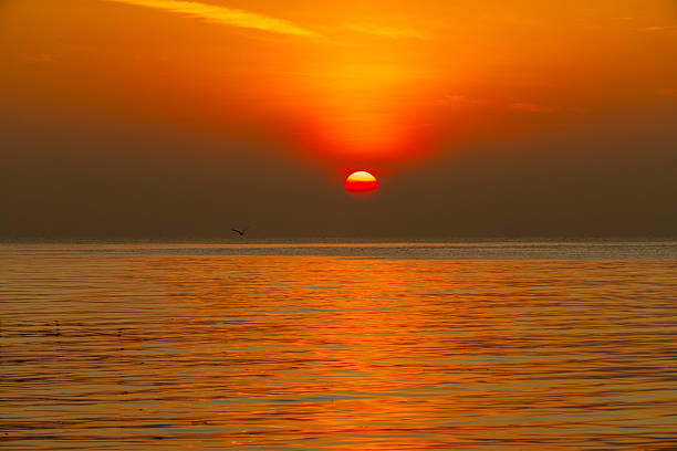 A breathtaking scenery of a vibrant orange sunset or sunrise over a calm sea. The sun sits perfectly on the horizon, casting a brilliant golden glow across the rippling water, with a single bird flying across the frame, evoking a sense of freedom and tranquility.