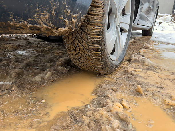 car tire tracks in the mud