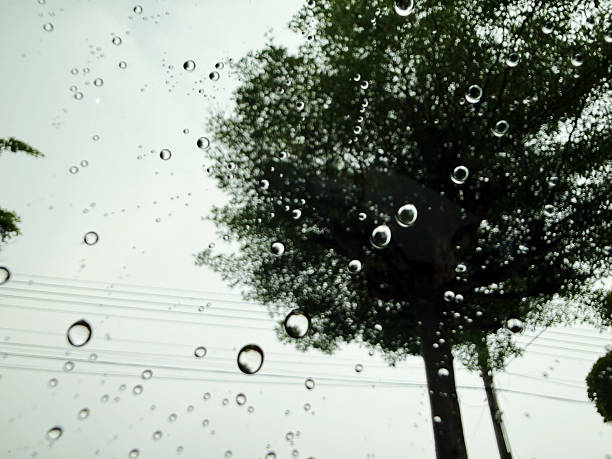 Rain drops on the glass with a tree in the background and cloudy sky