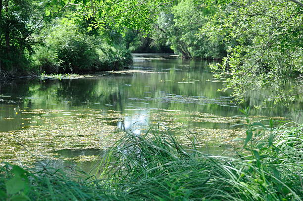 the Seugne in Jonzac
