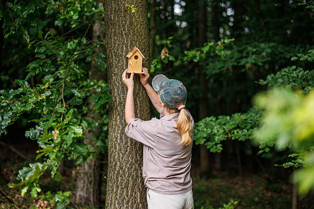Female ornithologist attaching birdhouse to tree in forest environment