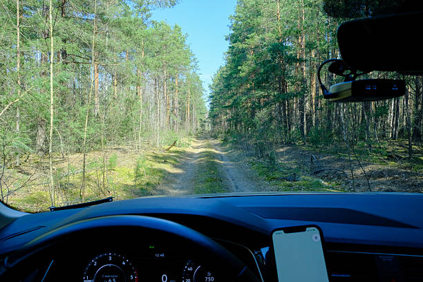 Off road drive on a straight pine forest track with navigation app