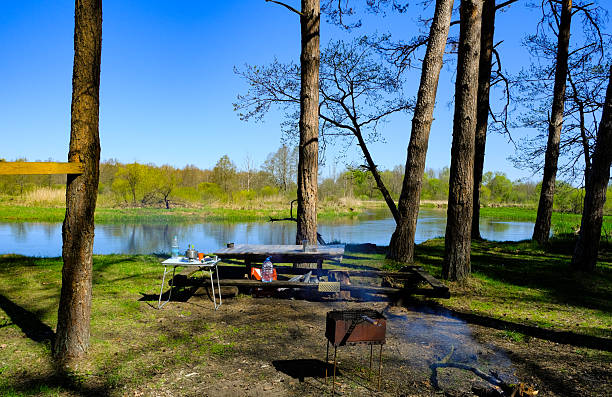 Riverside campsite with grill, bench, and pine trees in spring light