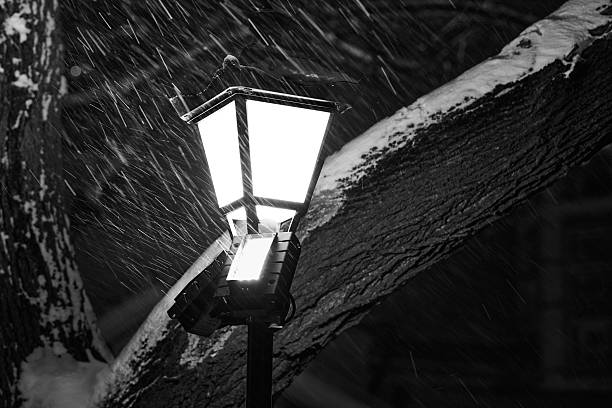 A lit street lamp in a snowstorm against a tree. Snow falls against the backdrop of a lit street lamp.