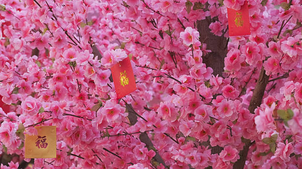Chinese new year decoration peach flowers